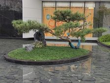 ΰÐÇ¸ßÆ·ÖÊ ÖÐÑí¾Ó×¡Çø ÌìĻʽ»áËù ¿ª·ÅʽӾ³Ø