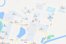 沈阳近海经济区2022-49地块电子地图