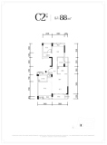 C2