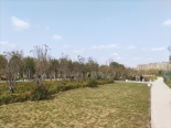 项目西2公里白沙河景观公园
