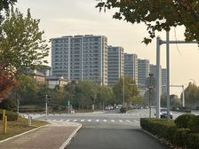 露台160平车位一个满两年有钥匙绿城物业全明户型