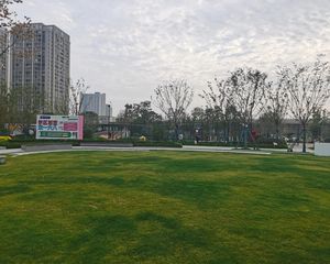 双阳台电梯小高层大三房精装交付诚意售陶冲湖双168