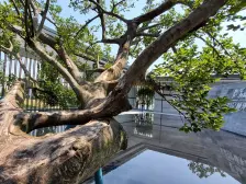 寸滩港旁 次新小区 清水4房 双轻轨