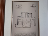 115平样板间户型图