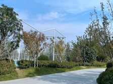 新东升佑园3室2厅南北