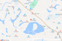 中新广州知识城环九龙湖地区，知识五路以南电子地图