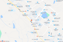 岗集镇CF202229电子地图