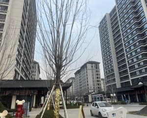 城投绿城·湖畔云庐3室2厅南北