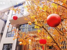悦来生态城 全年恒温 舒适2房 小区环境精致 近公园