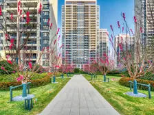 新小区,小区中间位置,户型方正、楼层好视野好