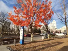 招商马尔贝拉 3室2厅 南 北