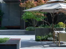 中央公园 龙湖云瑶玉陛玉山二组团三房148万