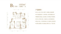 洋房103平方米B1户型