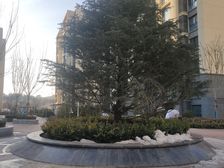 南山嘉园,二室,小高层,南北通透,北看动物园