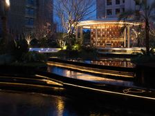 新希望锦粼湖院4室2厅东