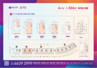 星河荟·商墅A户型534㎡