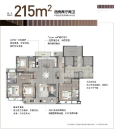 时代大观二期4室2厅1厨2卫建面215.00㎡