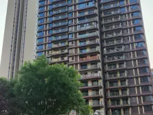礼嘉 新上 中间楼层 双轻轨 门口的 急售房源