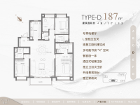 D户型 187平