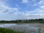 龙湖湿地公园