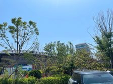 此房南北通通透视野开阔看房方便