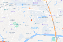碧桂园河东地块项目电子地图
