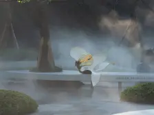 标杆示范园林 横厅大四房 宽阔视野