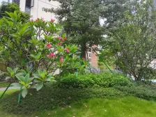 天健阅江来 高楼层双阳对流 光线好 业主诚意出售