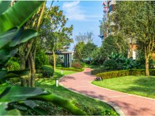 草街街道 北新御龙湾三街区四房45万