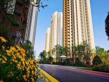 北新御龙湾 3室2厅 东南