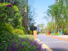 草街街道 北新御龙湾一街区四房49万