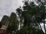 绿树掩映下的华润二十四城
