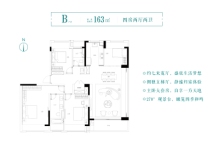 保利琅悦163户型