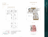 175平洋房户型