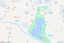 新区大港心湖西地块2021-3-1(X2107)电子地图