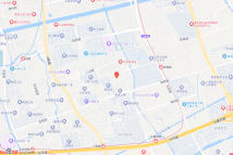 三林镇杨思社区Z000602单元11-04地块电子地图