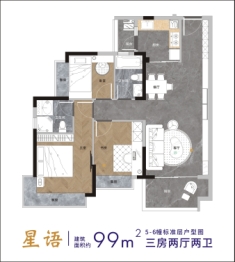 盛和星岸3室2厅1厨2卫建面99.00㎡