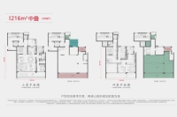 216平米中叠户型