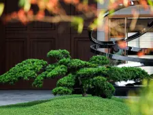 格局方正 南向 大阳台通风采光好 视野开阔 适宜居住