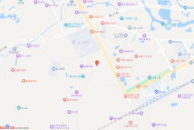 漳州2023P08电子地图