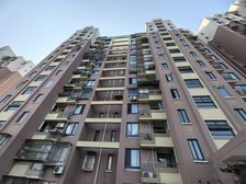 临港泥城2017年小区环境好户型佳南北通透