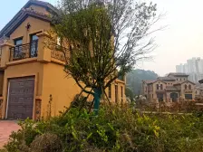 长沙南湘潭北 带私家花园下叠 上下两层带车位