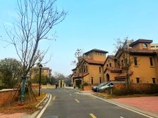 金奥湘江公馆联排边户别墅带双车库花园200多平米