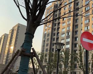 次新小区,新上南北两房,业主诚意出售,看房随时方便
