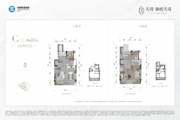 天投锦悦天成4室2厅1厨4卫建面201.00㎡