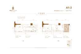 锦业时代·D5大道1室1厅1厨2卫建面45.64㎡