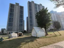 朝东南向三房格局,采光通风好,幸福生活由此开始