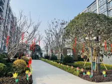 洋房小区 环境好高品质 人车分流 精装修拎包入住