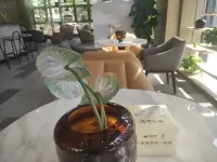 联美玺悦