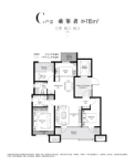 C-115平3室2厅2卫